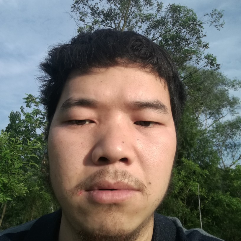鳗鱼有西装的照片
