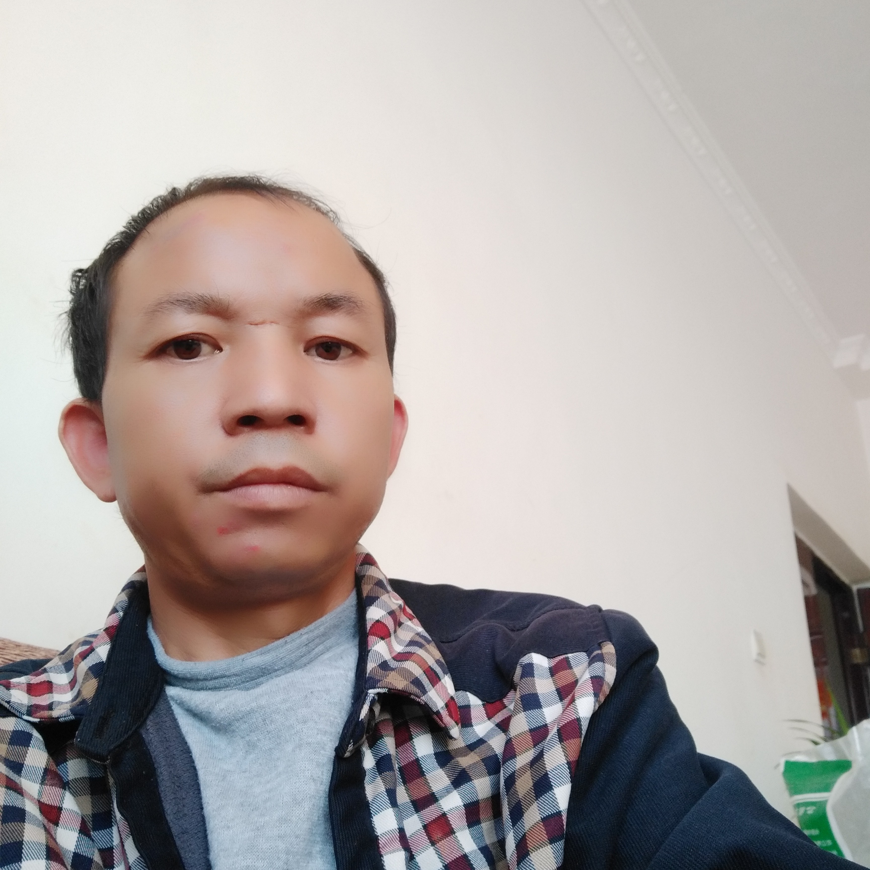 阳光向青栀的照片