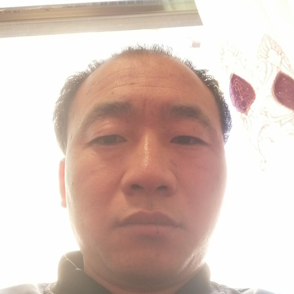 野狼爱恋苹果的照片