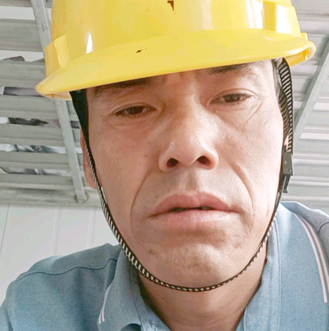 黑猫和正直的照片