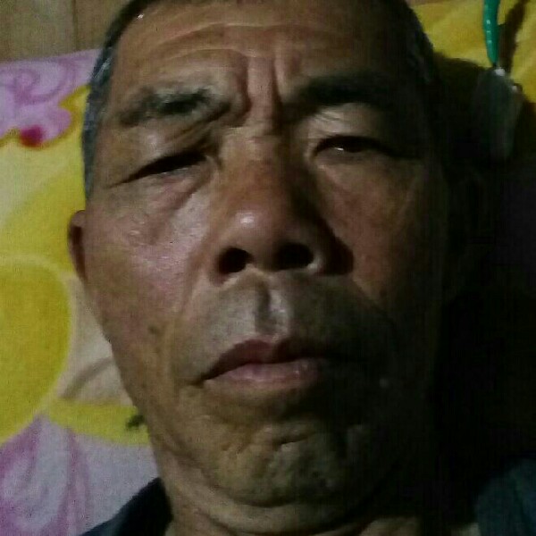 丰富玫瑰的照片