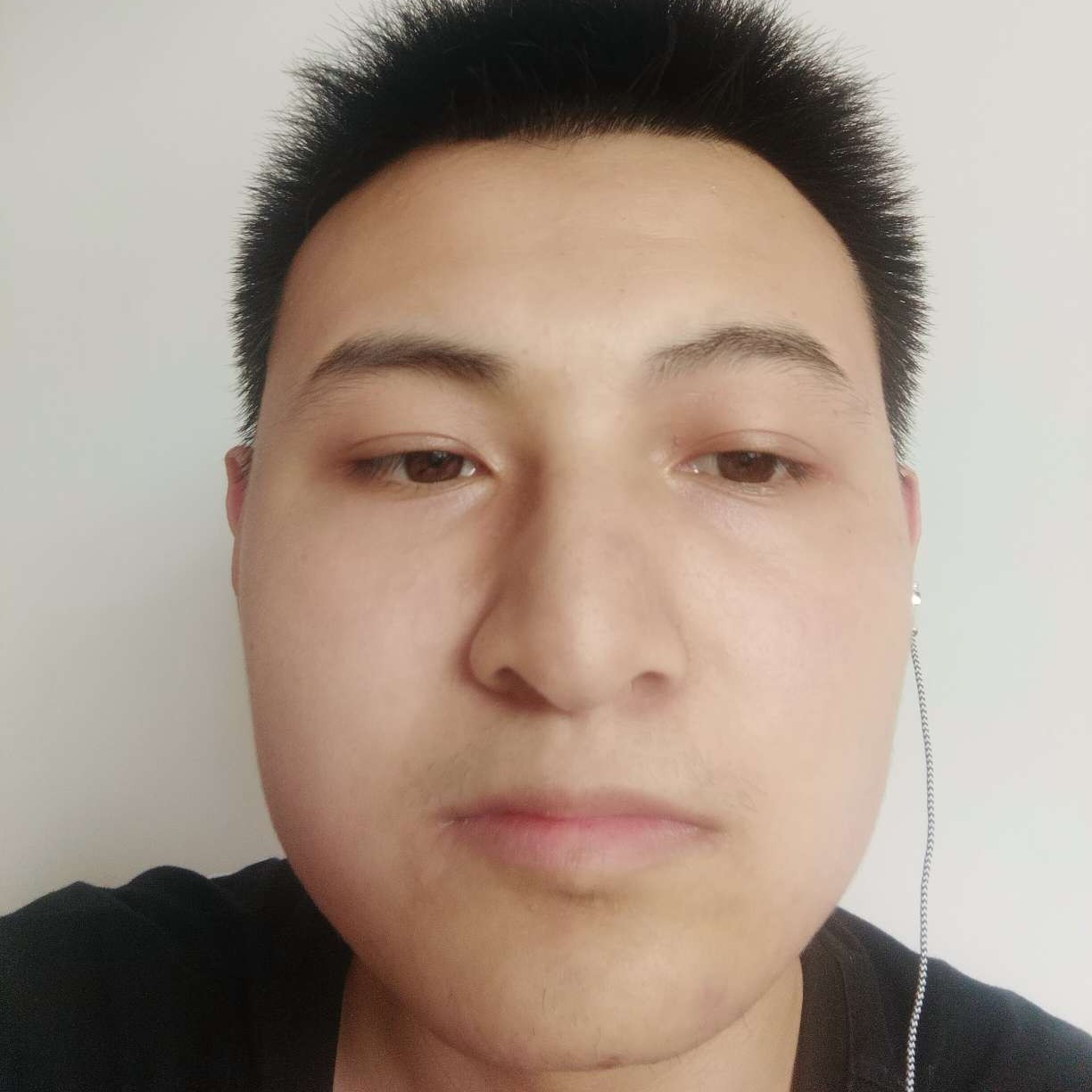 粗犷向鸡的照片