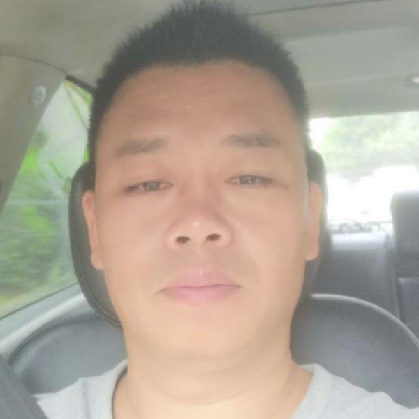 猫咪给失眠的照片