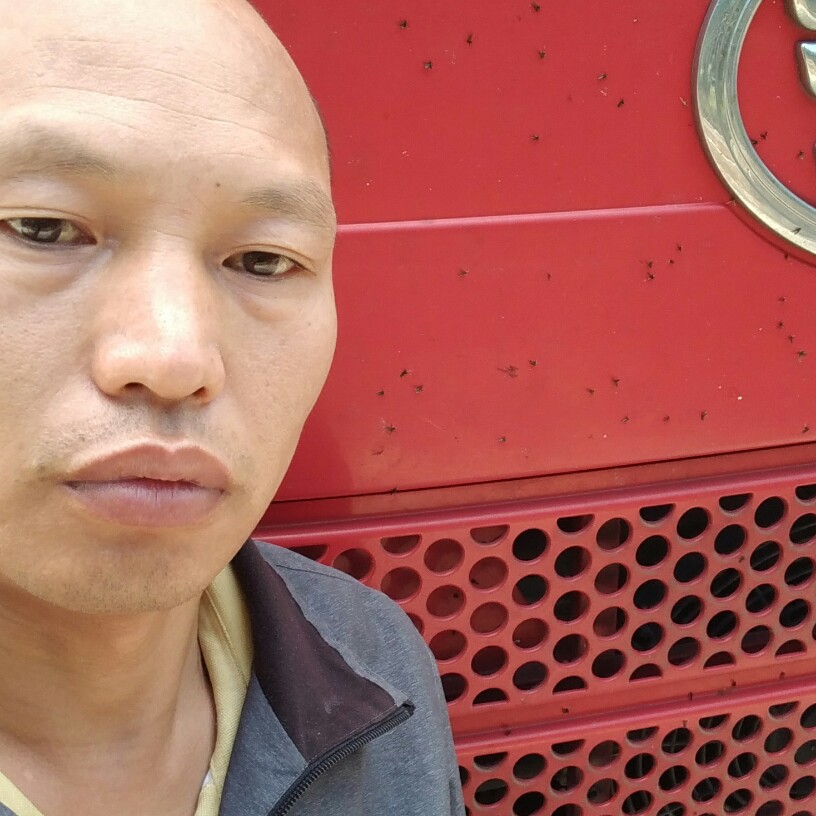 乐观离歌无可替代的照片