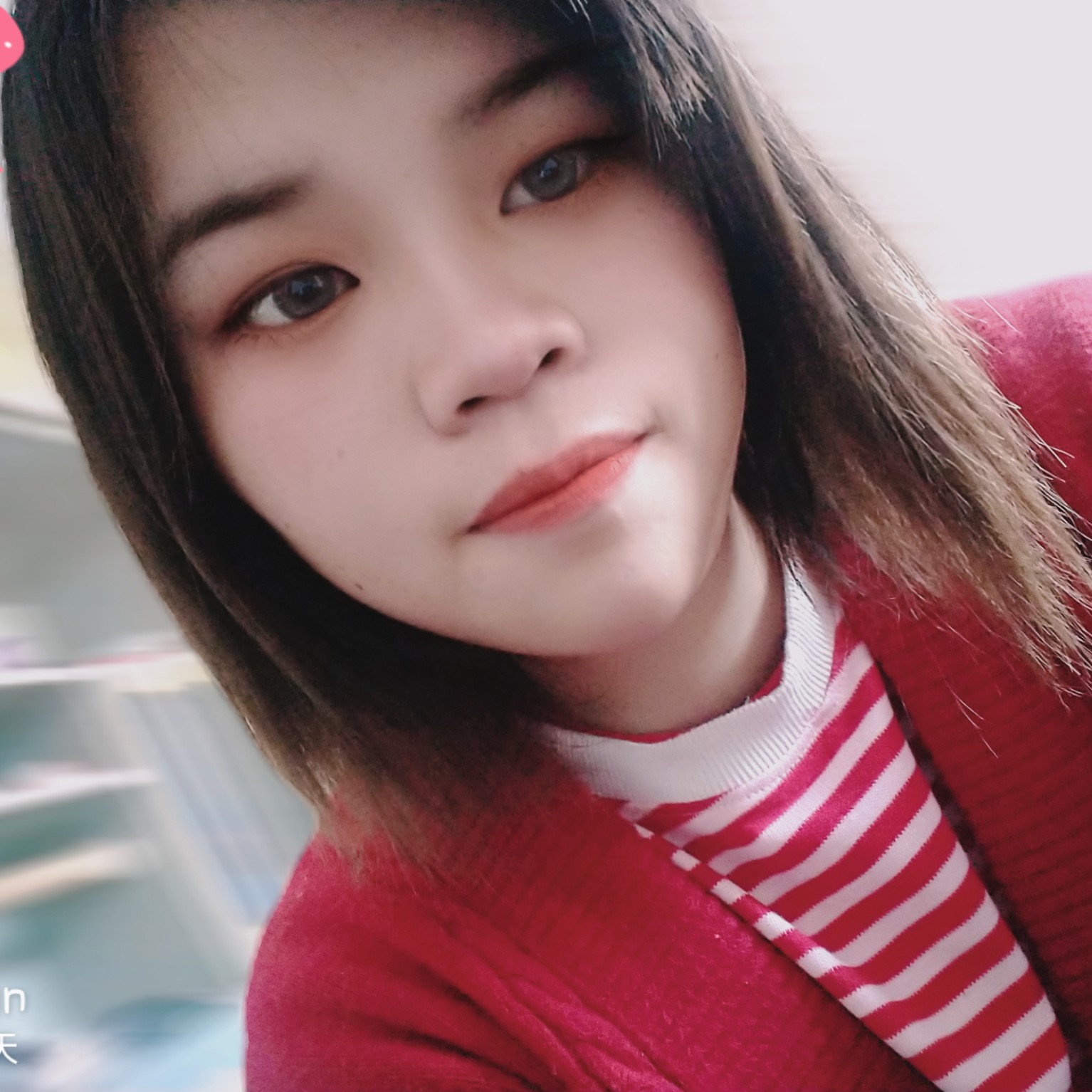结实那小海豚的照片