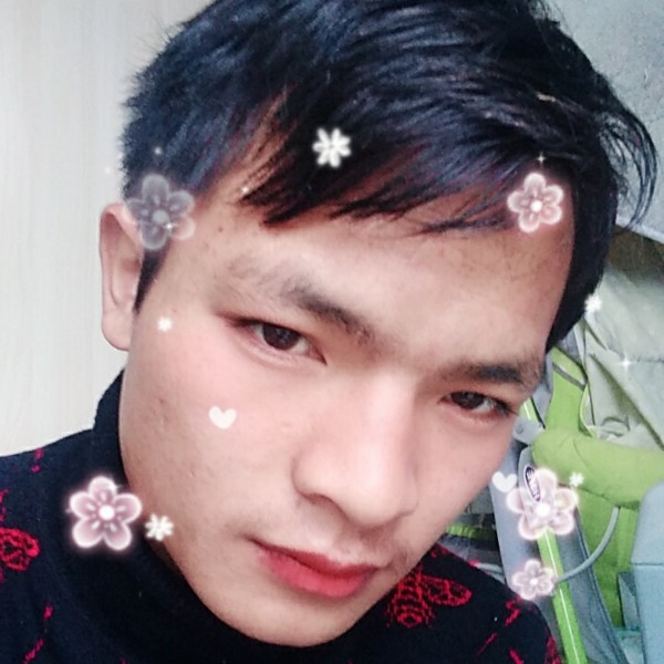 猎豹积极的照片