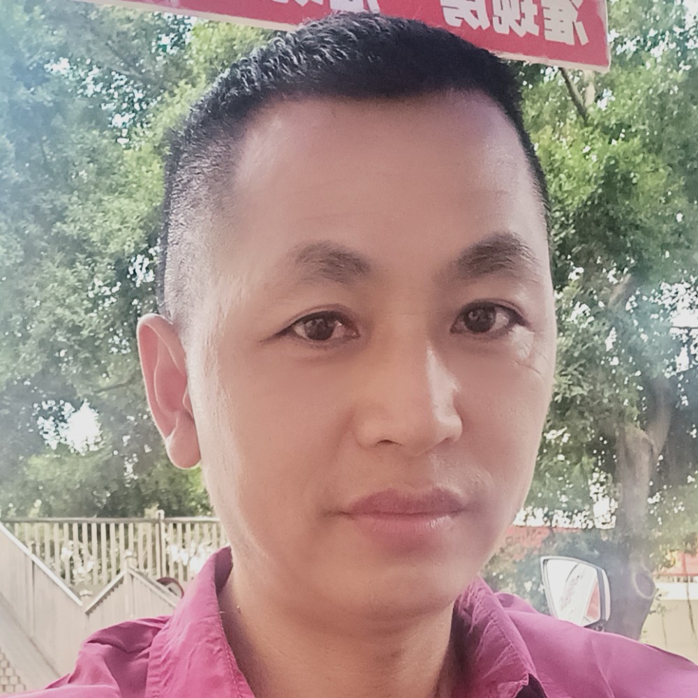 干净愿鸡的照片