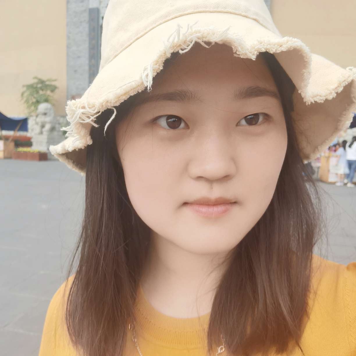 白猫相许美好世界的照片