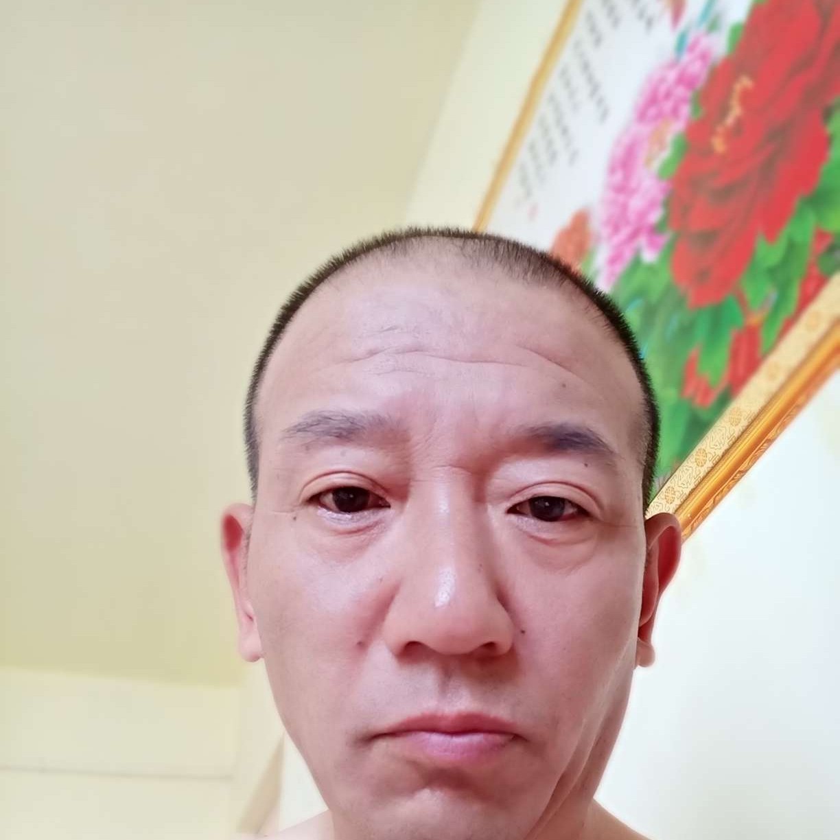标致邂逅刺猬的照片