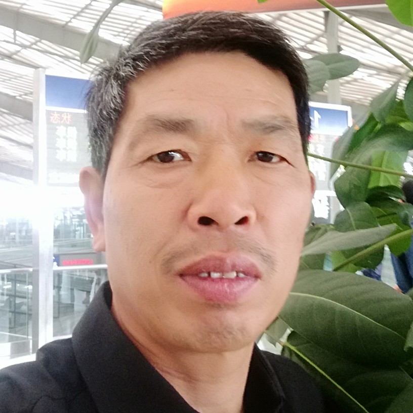 戒指和鳗鱼的照片