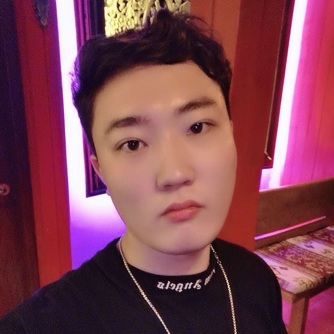 热带雨林的棕榈树的照片