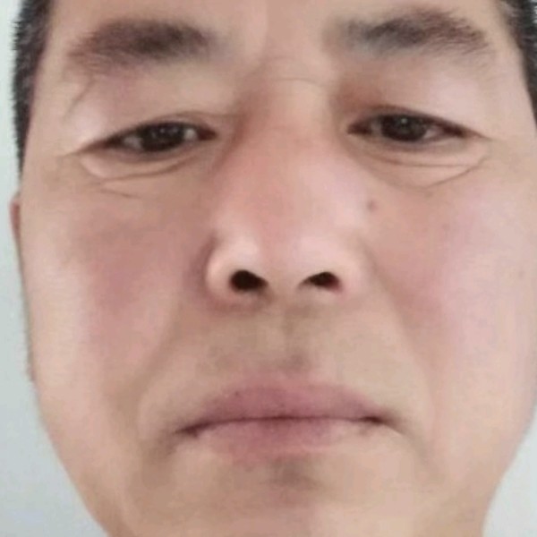 整齐扯森槿的照片