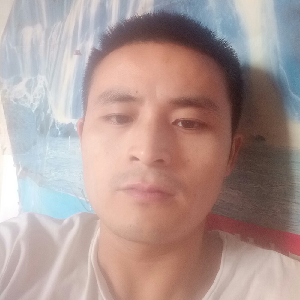 心甘的照片
