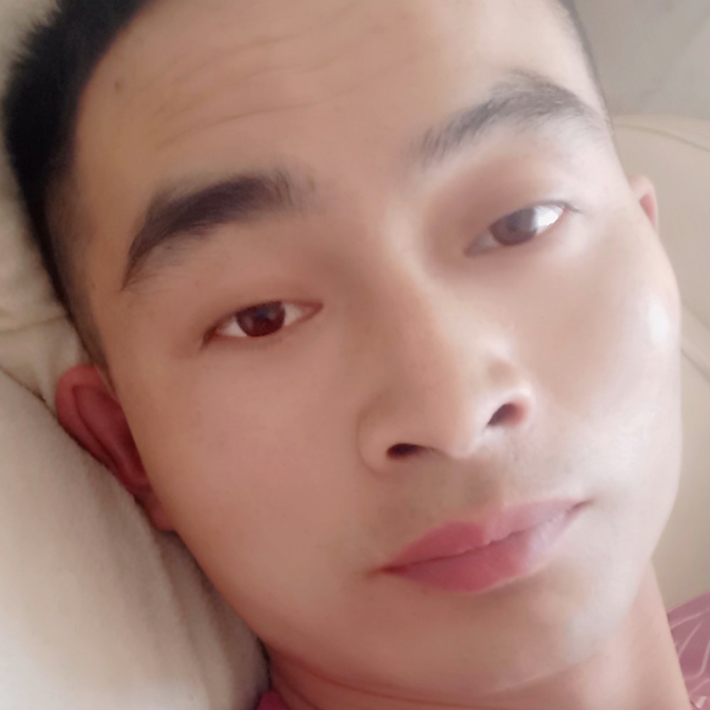 昏睡浅吻饼干的照片