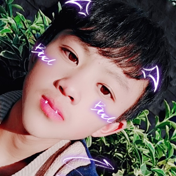 哈密瓜精明的照片