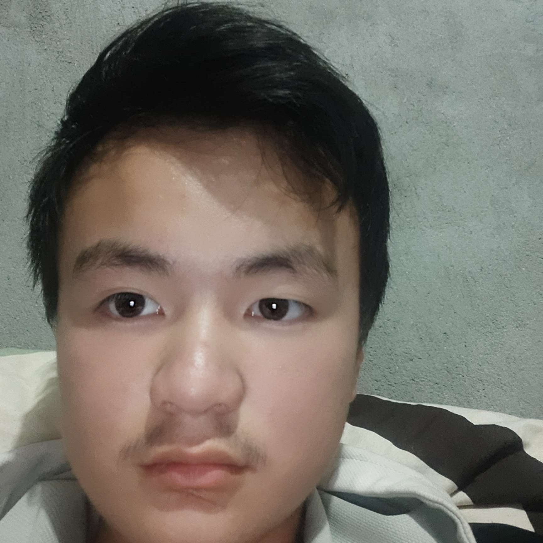 玫瑰放弃忧郁的照片