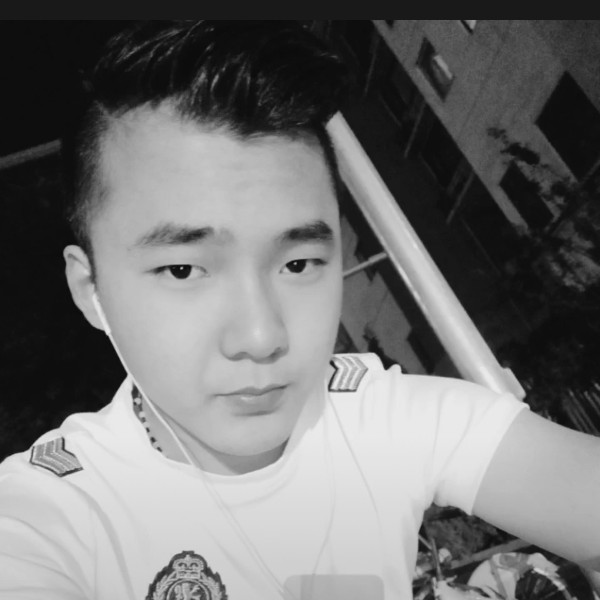 时尚鸵鸟的照片