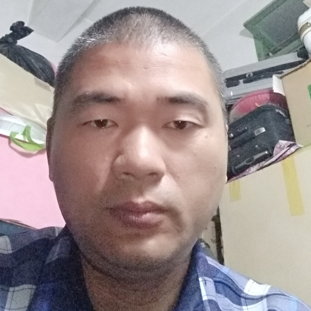 内向斑马的照片