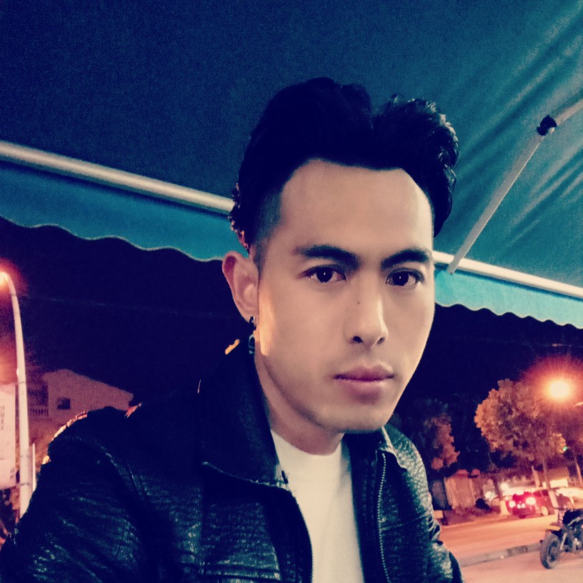 忧虑拿大树的照片