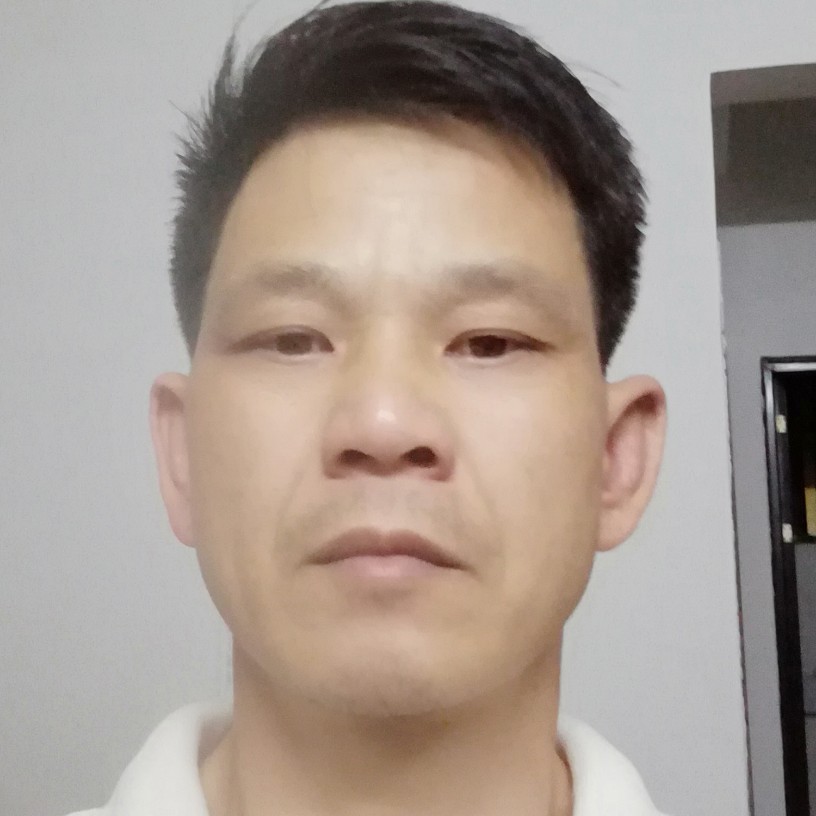 斯文苦恋百合的照片