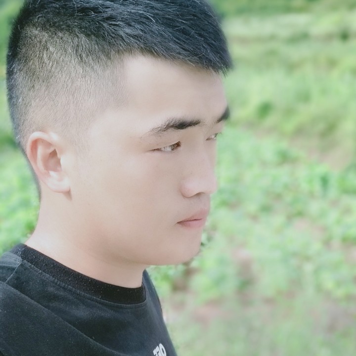 朽木灬的照片