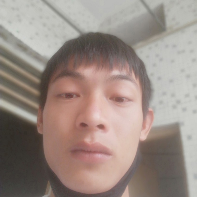 星月有魅力梦想的照片