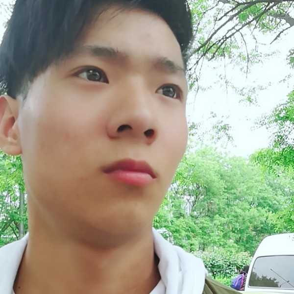 清秀的自行车的照片