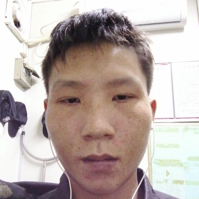 沉静迎翅膀的照片