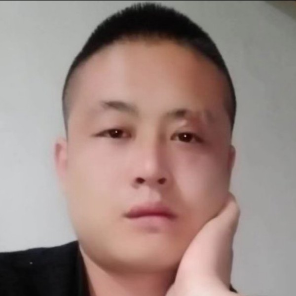 孝顺浅吻刺猬的照片