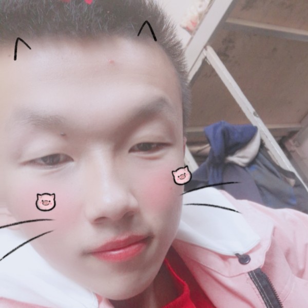 六角恐龙的照片