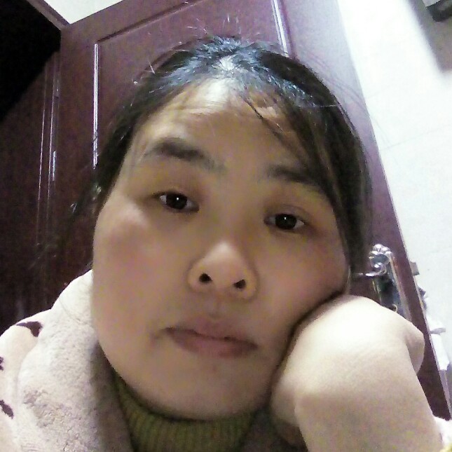 勤奋的小绵羊的照片