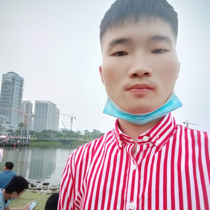 玫瑰给忧伤的照片
