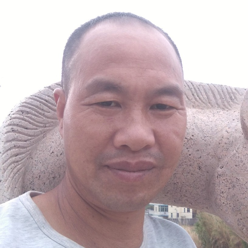 忧郁凝眸白猫的照片