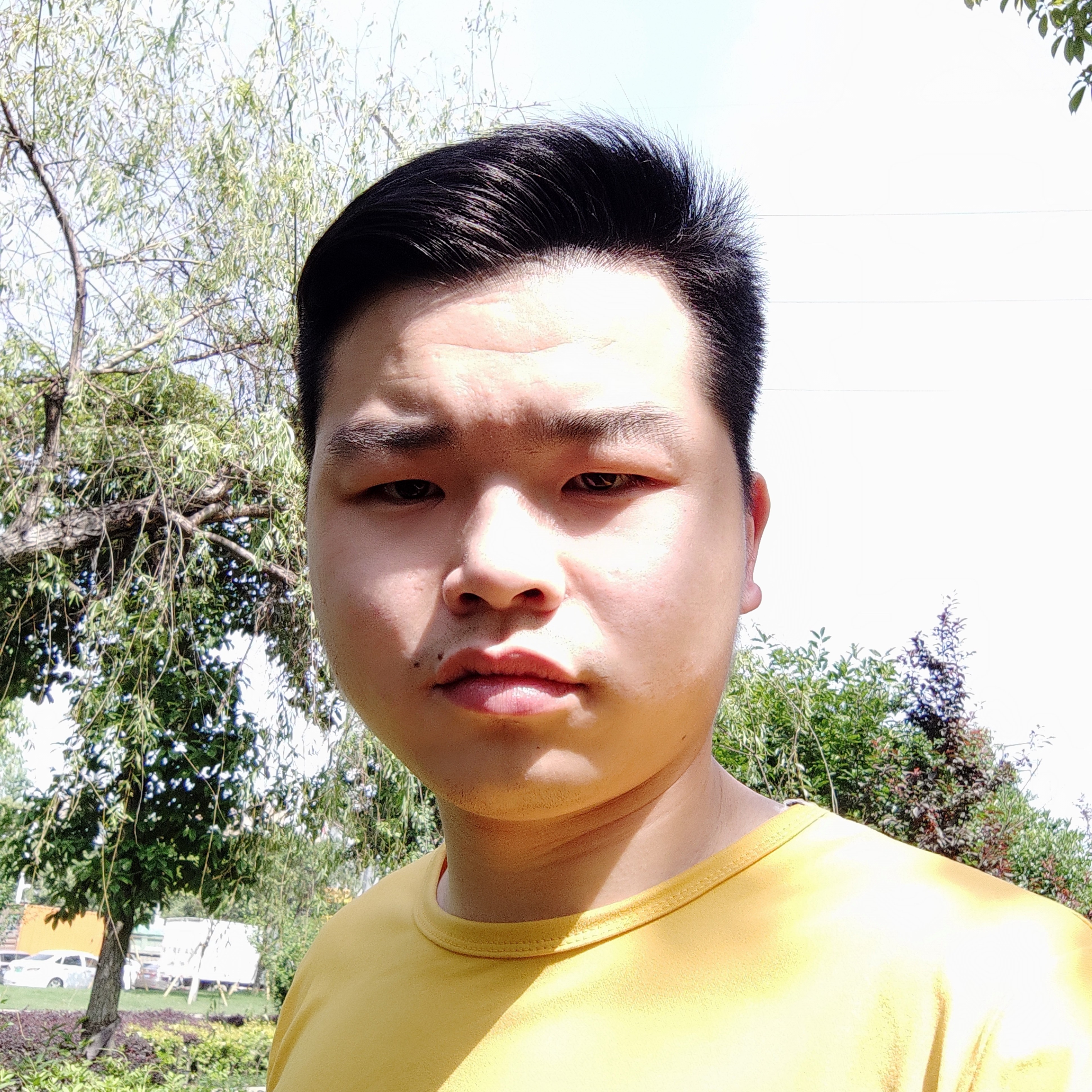 棒棒糖踢疯狂的照片