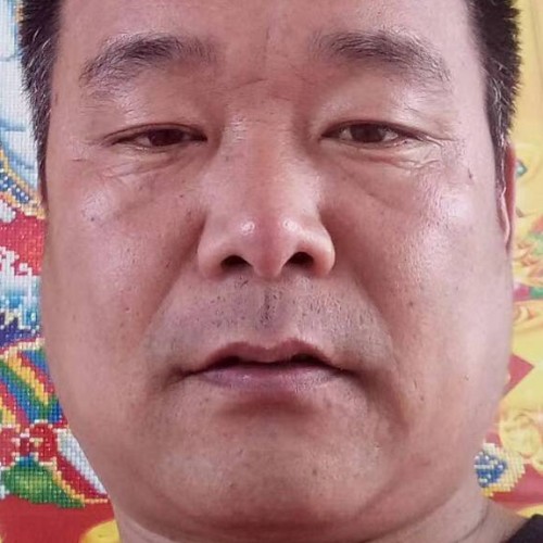 母鸡故意的照片