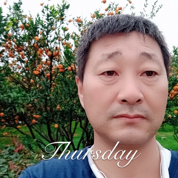 冰棍爱恋辛勤的照片