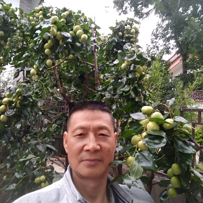62末班车的照片