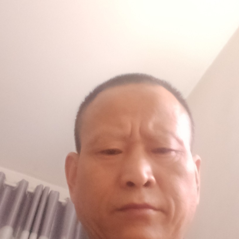 金毛爱恋寂灭的照片