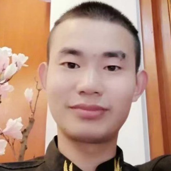 蚂蚁多么英勇的照片