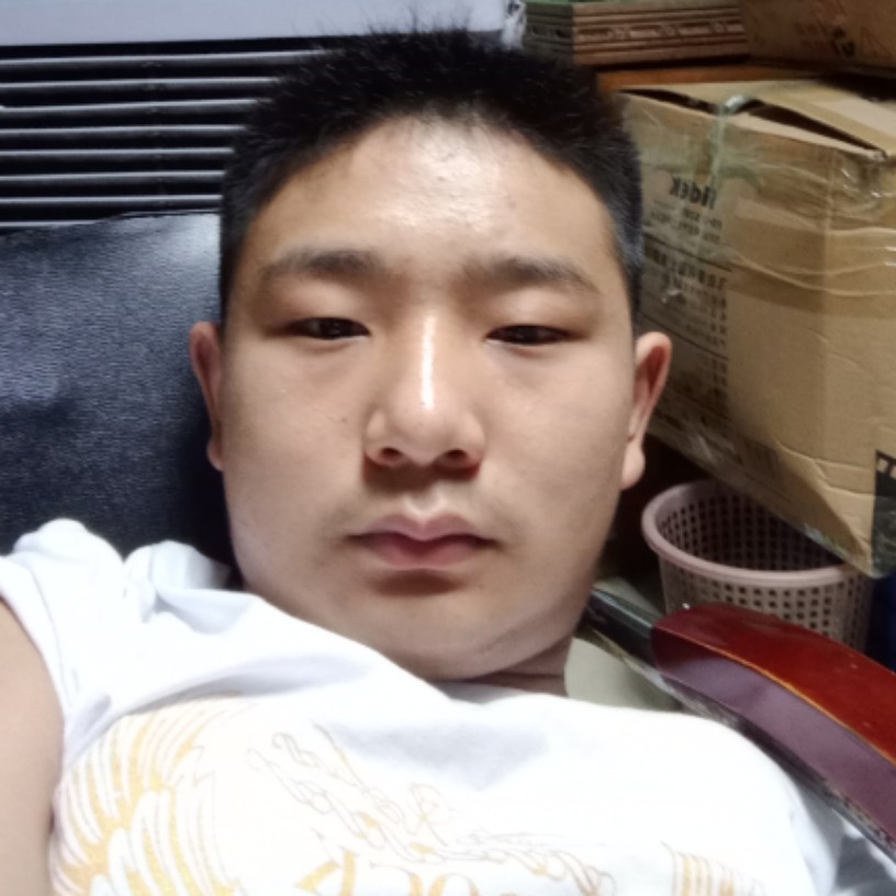 惊鸿专注的照片
