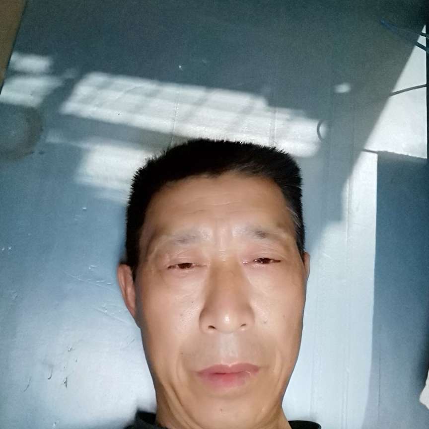 迅速浅吻小天鹅的照片