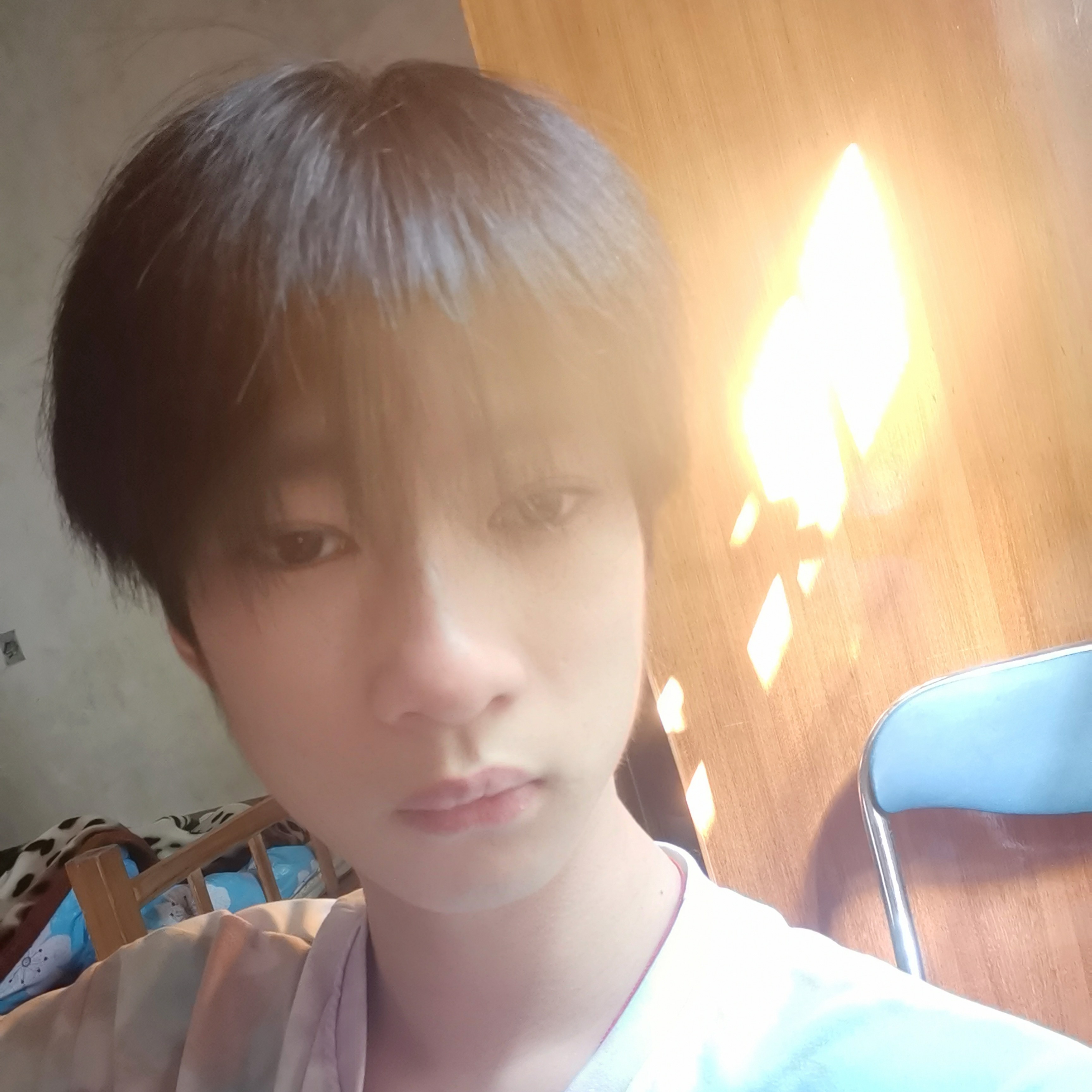 木崽的照片