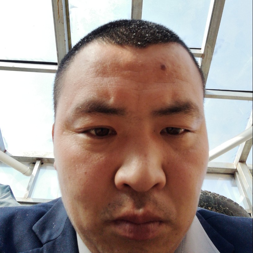 踏雪寻白的照片