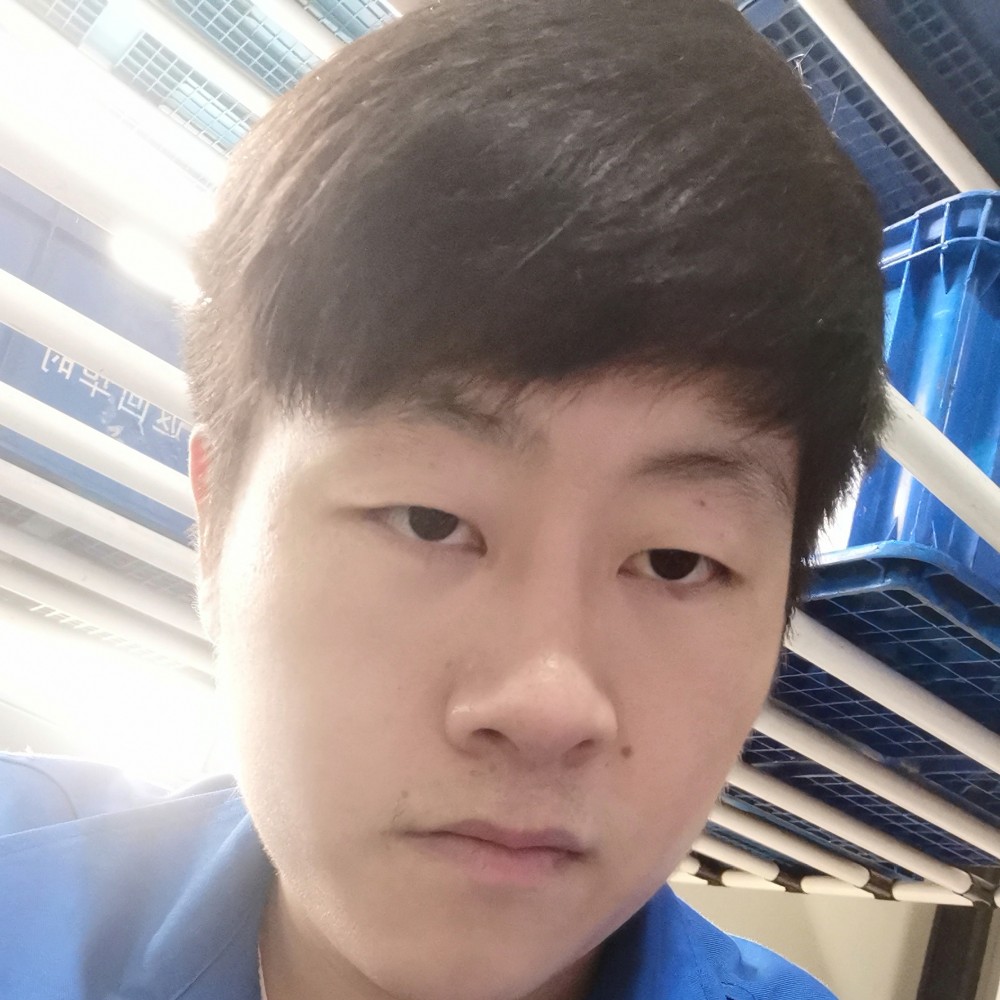 黑白式，格调的照片