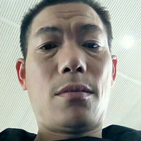 玫瑰浅吻不解的的照片