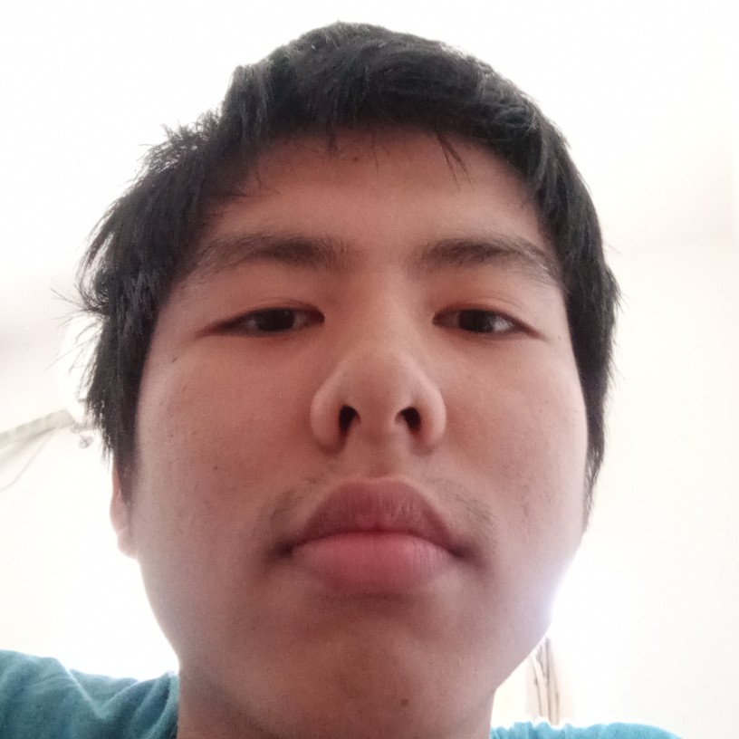 猫咪保卫顺利的照片