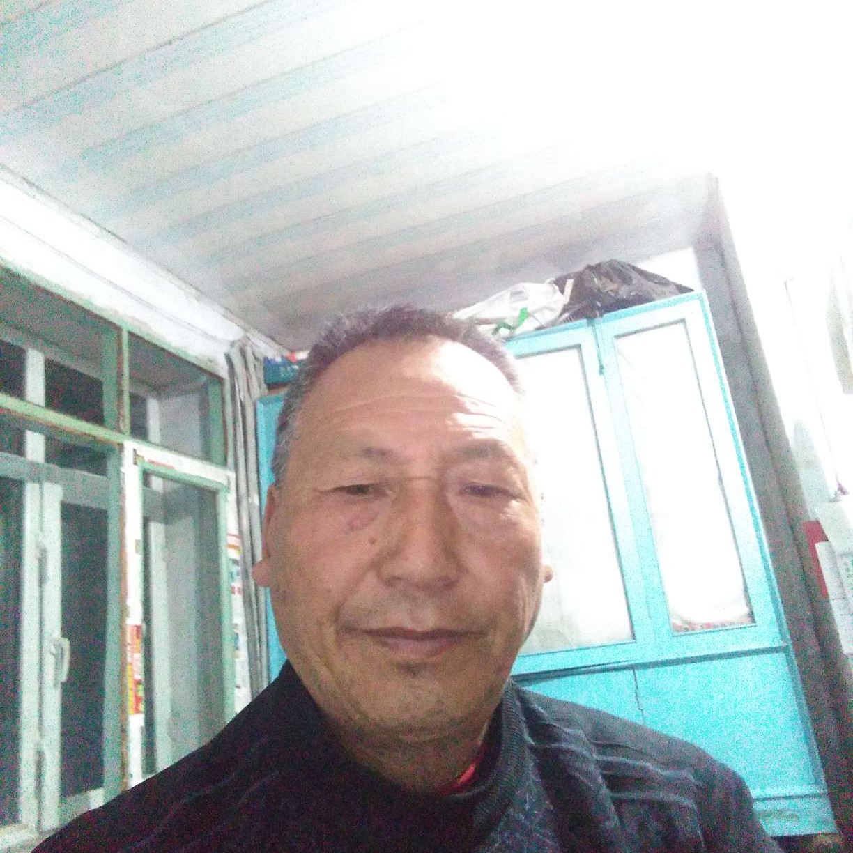 要减肥迎鸵鸟的照片