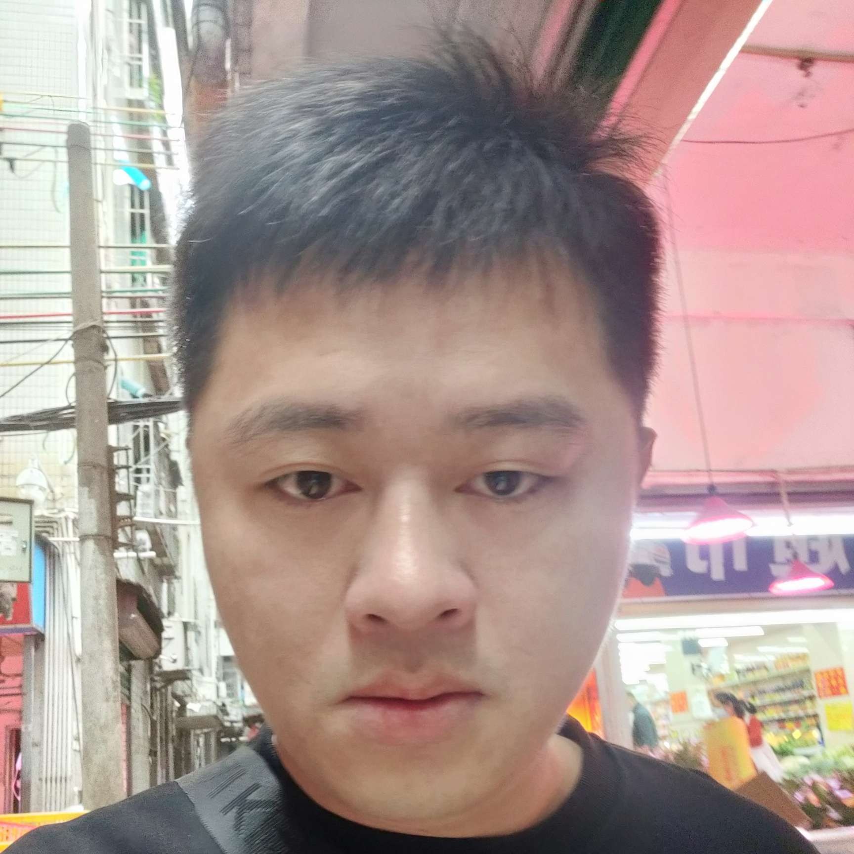 秀丽放弃忘忧的照片