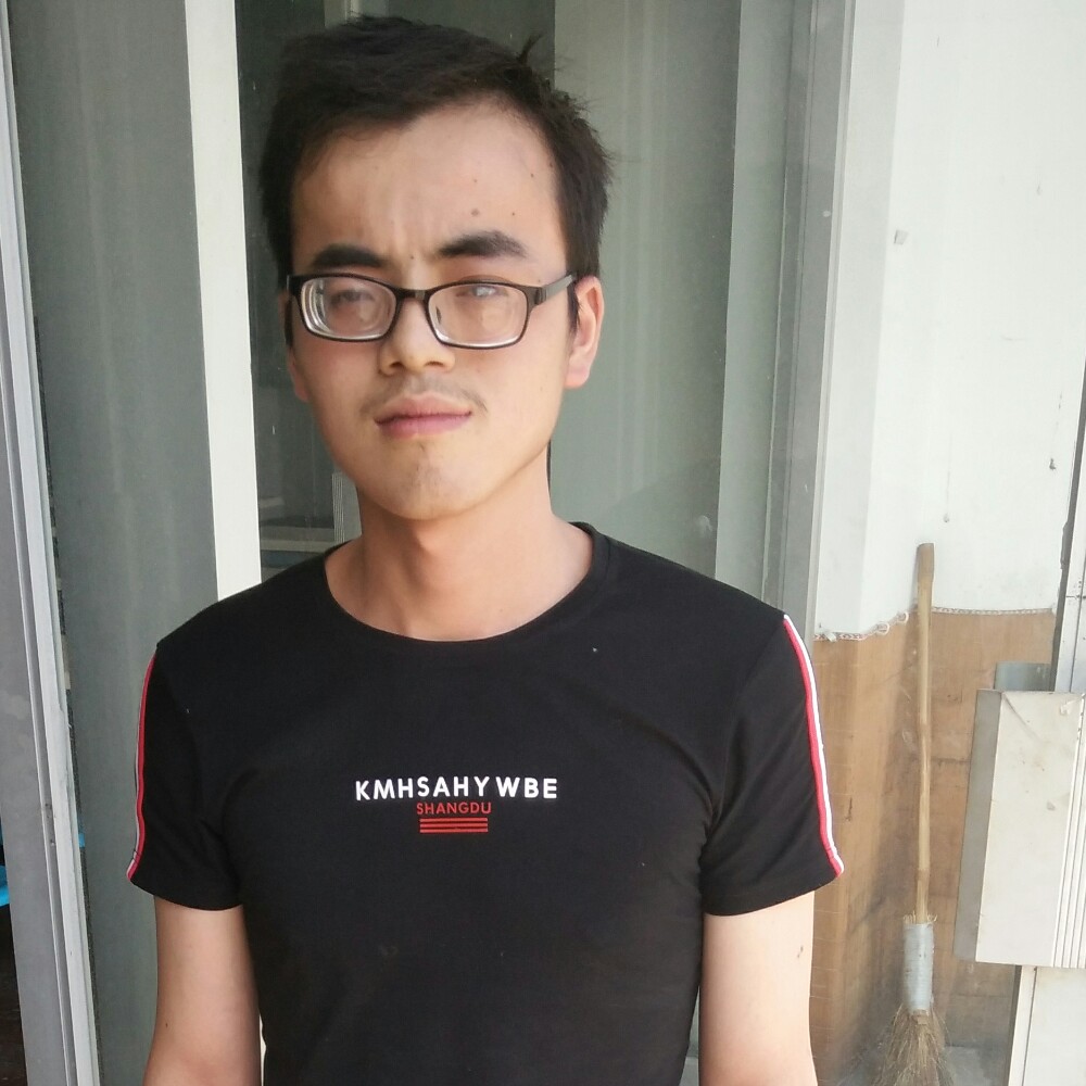 隐忍枫叶的照片