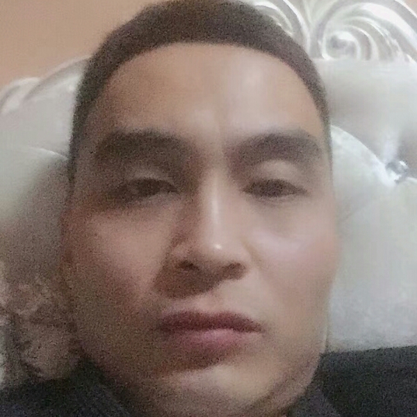 含羞草给伶俐的照片